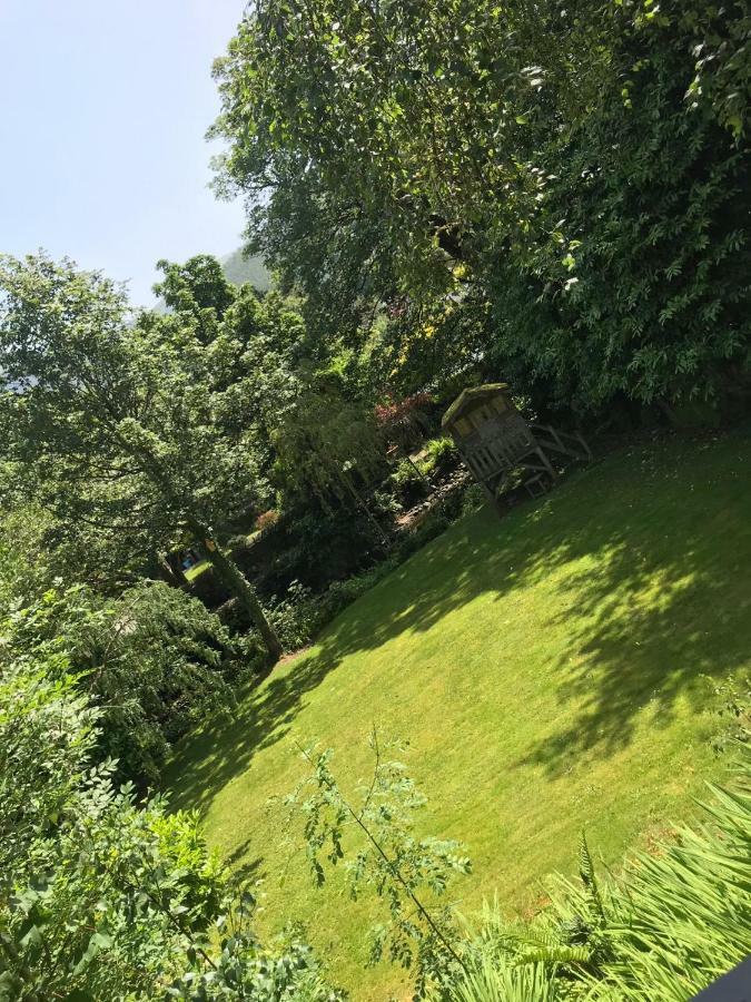 Garden Double Room With Own Door Access And Bathroom Rostrevor Exterior photo